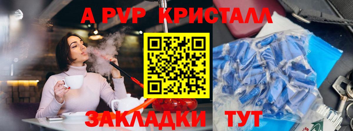 Меф Сыктывкар