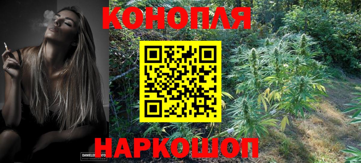 Бошки марихуана ГИДРОПОН Сыктывкар